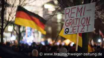 Faktencheck: Will die AfD Millionen Menschen abschieben?