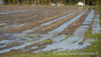 Komt deel oogst België er weer niet uit?