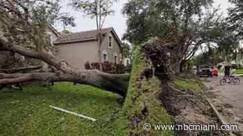 Dozens of Palm Beach residents say they did not receive alerts ahead of tornadoes