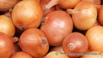 Goede vraag stuwt de baalprijs nog niet op