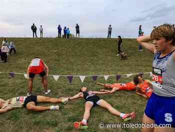 Photo gallery: Best pictures for week ending Oct. 17