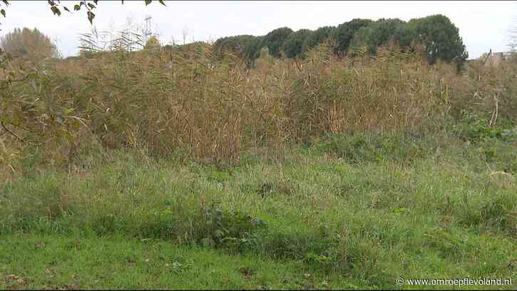 Almere - Gemeente: PVV verspreidt onjuiste informatie over maaibeleid