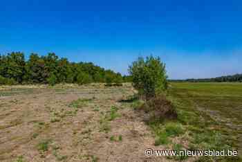 Nieuwe toegankelijkheidsregeling voor Klein Schietveld roept bezorgdheid op bij fietsers en mountainbikers