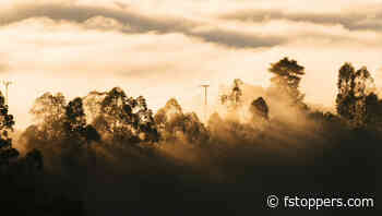 The Most Common Photo Editing Mistakes (And How to Fix Them)