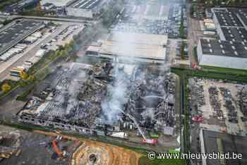 Tongers eierbedrijf zal zo snel mogelijk uit as herrijzen: “We willen niet dat de buren in de stank zitten”