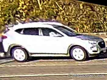 Police seek driver in Old Richmond Road cyclist fatality