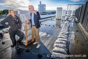 Stadthalle Bielefeld verbessert Stadtklima