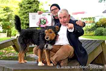 Paderborns bunte Monster