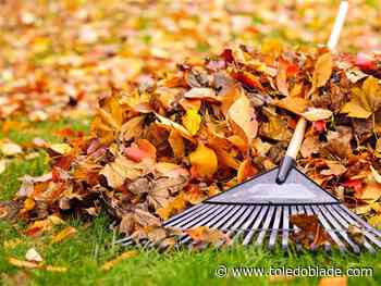 Whitehouse leaf collection begins Monday