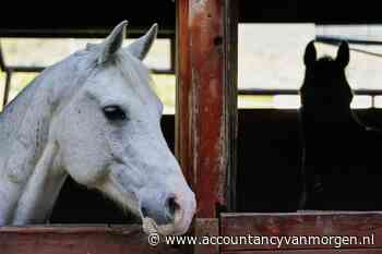 BV kan zonder specificatie geen kosten aftrekken van gebruikelijk loon dga