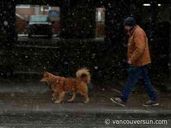 Atmospheric river hits B.C. coast, bringing rain, wind and flood risks