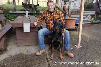 2025 ist Schluss: Wo sollen Fundtiere aus dem Kreis Höxter hin?