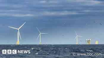 Offshore wind farm starts generating power