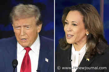 Trump biggest betting favorite over Harris after flurry of wagers