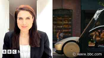 Musk promises self-driving Tesla taxis, but are they safe?