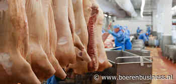 Varkensmarkt is tot nu toe dit jaar ongekend stabiel