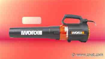 Tired of Raking Leaves? Get a Leaf Blower This Fall for Only $70