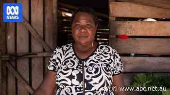 Logging marriages 'like instant coffee' in Solomon Islands, with girls 'sold' into relationships