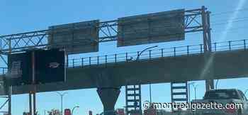 Animal rescue joined by construction workers in bid to coax a deer off West Island REM tracks