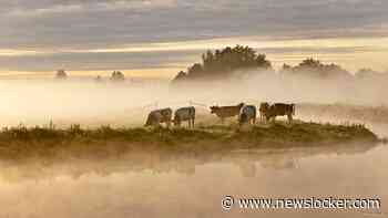 KNMI waarschuwt Noord-Nederland voor slecht zicht door mist met code geel