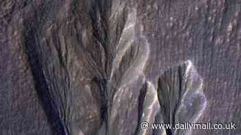 Alien life could be lurking on Mars, NASA says