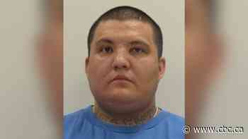 High-risk violent sex offender released, will live in Winnipeg: Winnipeg police