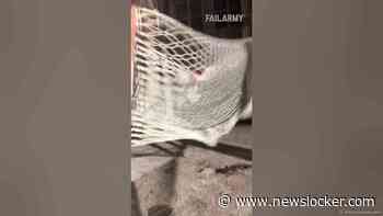 Funny Girls Compilation