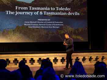 Toledo Zoo helps Tasmanian government conserve its at-risk marsupials