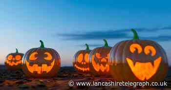 How pumpkins can attract unwanted pests to your home this Halloween