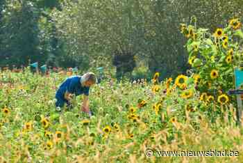 Plukveld FLOR moet ontmoetingsplek worden: “Mensen dichter bij elkaar brengen op- en rond het veld”