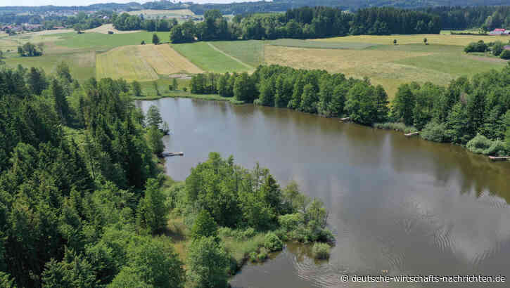 Europäische Gewässer in Gefahr: Klimawandel und Verschmutzung verschärfen die Wasserkrise