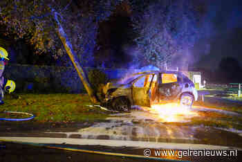 Auto vliegt in brand na botsing tegen boom, bestuurder gewond