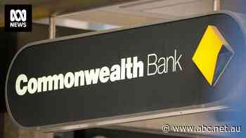 Commonwealth Bank says duplicate transactions have now been reversed