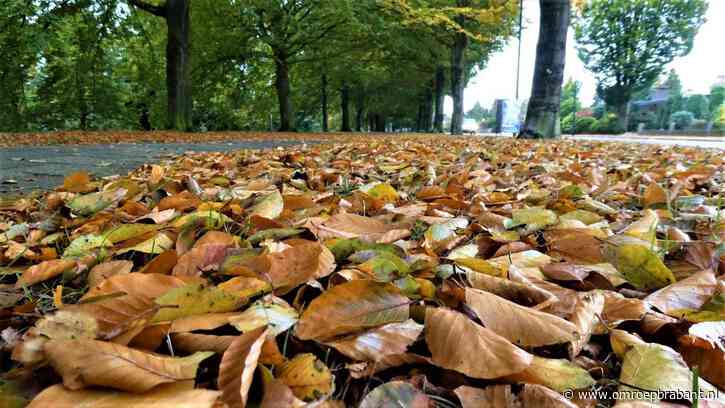 De herfstvakantie begint grauw en nat, maar de zon keert snel terug