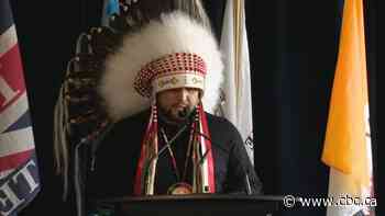 2 First Nations chiefs in Alberta want more dialogue, collaboration on child welfare deal