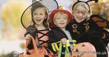 17 free things to do with the kids this October half-term holiday in and around Hull