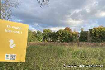 Borden van buurtcomité voor behoud van Valaarweide worden verwijderd: “Stad dreigde plots met GAS boetes”