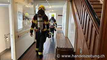 Vierwaldstättersee-Schiff muss wegen Rauchs in Brunnen SZ stoppen