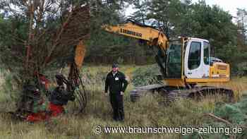 Sperrgebiet in Ehra-Lessien soll blühende Heidelandschaft werden