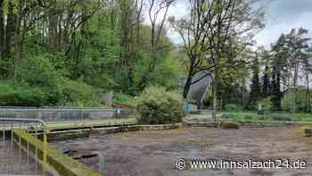 Neues Leben für marodes Wasserbecken: So bunt soll es im Waldkraiburger Stadtpark werden