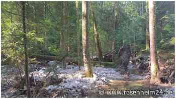 Ist Natur schützenswerter als der Mensch? Wie es am Weißenbach in Frasdorf weitergeht