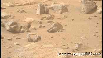 Perseverance Rover Captures Bizarre Mars Rock That Looks Like a Human Head