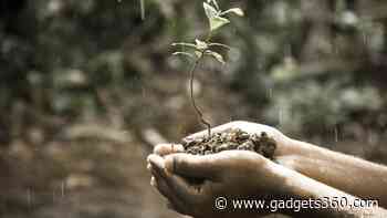 How Rainwater Helped Stabilise Early Cells, Enabling Life's Complexity on Earth