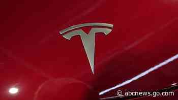 US to probe Tesla's 'Full Self-Driving' system after pedestrian killed in low visibility conditions