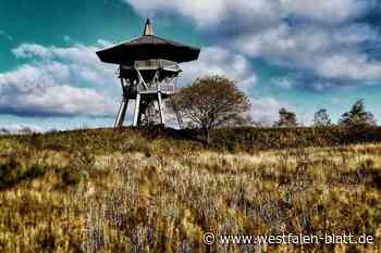 Feuer auf der preußischen Velmerstot: Hat der Eggeturm eine Zukunft?