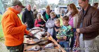 Twaalf teams strijden tegen elkaar tijdens NK Wild barbecue: 'Het vlees is allemaal geschoten hier op de Hoge Veluwe’
