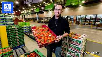 Rent hike at Melbourne wholesale fruit and veg market expected to increase food prices
