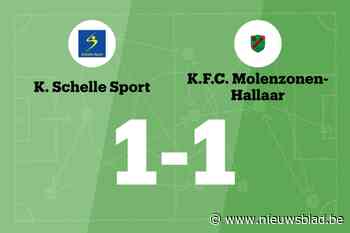 Schelle Sport en Hallaar delen de punten