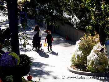 Photo Gallery: Pumpkin Path at the Toledo Zoo