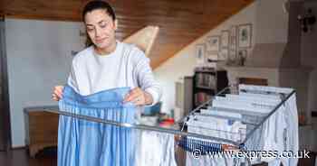 Ditch tumble dryers for mum’s ‘only way’ to dry clothes indoors in 1 hour and avoid damp